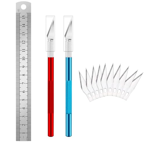 Canollo Skalpell Basteln Set mit 2 Stücke Bastelmesser Skalpell(Rot+Blau), 10 Stücke Skalpell Klingen, Edelstahl Lineal und Kunststoffbox, 145mm Bastelskalpell für DIY Art Work Cutting von Canollo