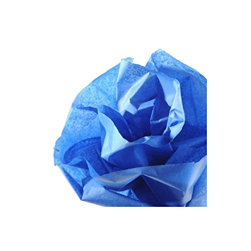 CANSON 200992665 Seidenpapier, blau, Maáe: 0, 5 x 5, 0 M, 20 G/qm CANSON 200992665 Seidenpapier, blau, Maáe: 0, 5 x 5, 0 M, 20 G/qm von Canson