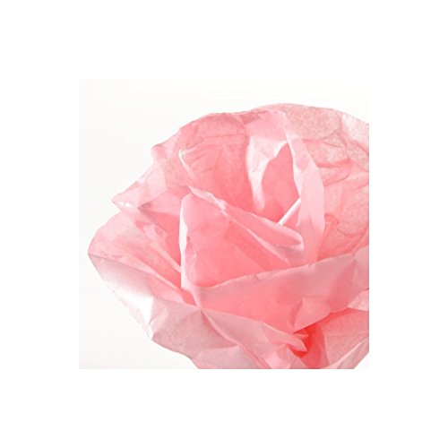 CANSON 200992668 Rolle Seidenpapier, 0.5 x 5 m, rosa CANSON 200992668 Rolle Seidenpapier, 0.5 x 5 m, rosa von Canson