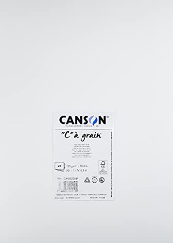 CANSON "C" à grain, Weißes Skizzenpapier, Feine Körnung, 125gsm, 76.8lb, Bogen, A3-29,7x42cm, Naturweiß - C31002S001 von Canson