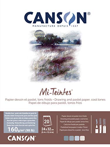 CANSON Mi-Teintes, Farbiges Zeichenpapier, Zweiseitg: Bienenwaben-Struktur und feine Körnung, 160gsm, 98lb, An der kurzen Seite geleimter Block, 24x32cm, 4 kühle Töne, 20 Blatt - C31032P005 von Canson