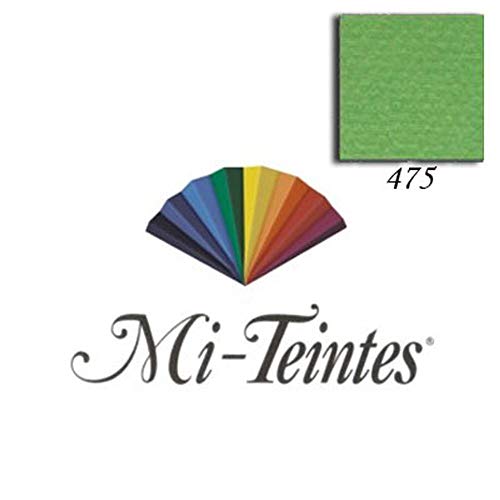 Canson Mi-Teintes Künstlerpapier, 160 g/qm, grün, 50 x 65 cm von Canson