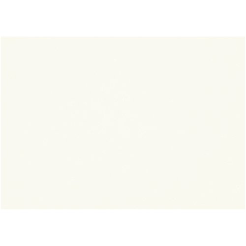 Canson Mi-Teintes Künstlerpapier, 160 g/qm, weiß, 50 x 65 cm von Canson