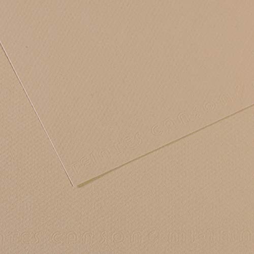 Canson Mi-Teintes Papel de Color de Pulpa Teñida, 160 g/m2, Gris (Pearl - 343), 21x29,18, Pack de 25 von Canson