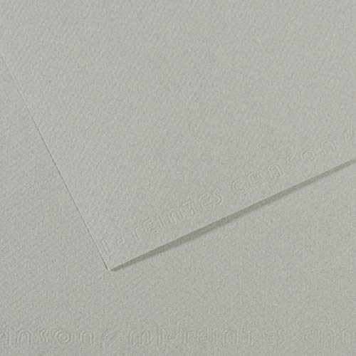 Canson Mi-Teintes Papel de Color de Pulpa Teñida, 160 g/m2, Gris (Sky Grey - 354), 29,7x60, Pack de 10 von Canson