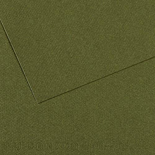 Canson Mi-Teintes Papel de Color de Pulpa Teñida, 160 g/m2, Verde (Ivy - 448), 29,7x62, Pack de 10 von Canson