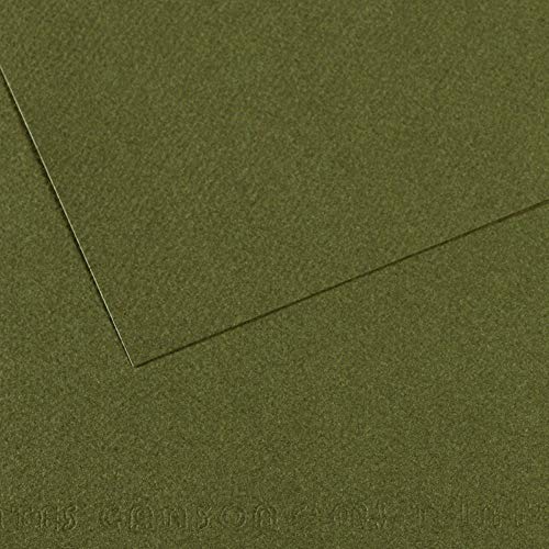 Canson Mi-Teintes Papel de Color de Pulpa Teñida, 160 g/m2, Verde (Ivy - 448), 29,7x62, Pack de 10 von Canson