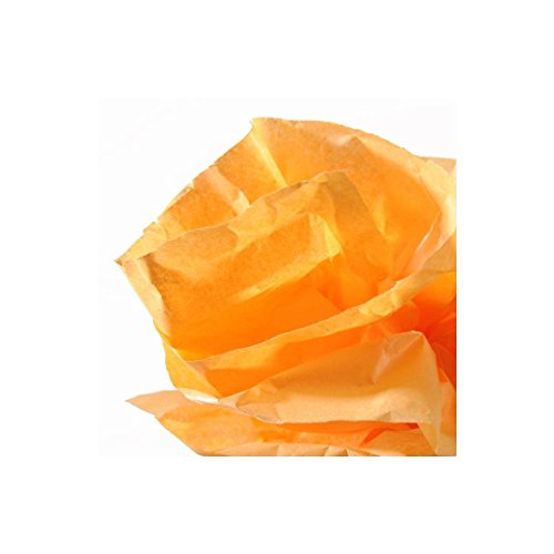GUARRO CANSON 200992661 Rolle Seidenpapier, 0.5 x 5 m, orange von Canson