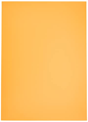 Hoja 50x70 (10) Canson Polypro 455g Naranja von Canson