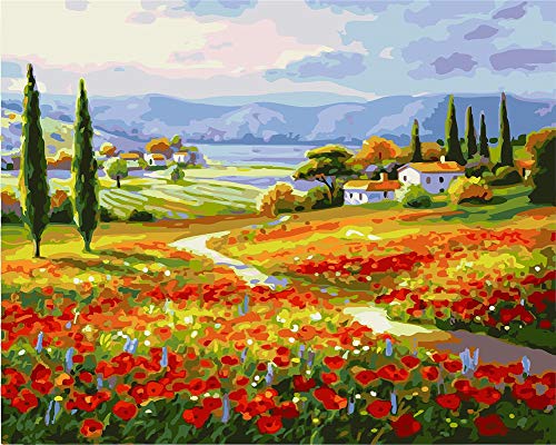 CaptainCrafts DIY Ölgemälde Malen nach Zahlen Kits für Erwachsene Anfänger Mohnblumen Feld Landschaft 16x20 zoll Leinen Leinwand Acryl Farbe Kunsthandwerk Für Haupt wand dekor (Mit Rahmen) von CaptainCrafts