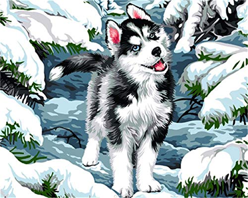 CaptainCrafts Malen nach Zahlen Erwachsene, DIY Malen nach Zahlen Leinwand Acrylfarbe Wand Kunstwerk Geschenke Home Wall Decor 16X20 Zoll (Rahmenlos, Wald-Wolfs junge) von CaptainCrafts