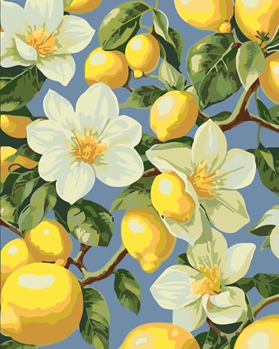 CaptainCrafts Malen nach Zahlen Erwachsene DIY Malen nach Zahlen Kit enthält Pigmente Leinen Leinwand Pinsel DIY Ölmalerei 40x50cm (Mit Rahmen, Obst Zitrone und Blumen) von CaptainCrafts