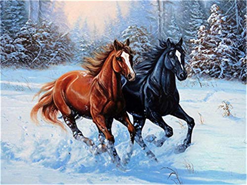 CaptainCrafts Malen nach Zahlen Erwachsene, DIY Malen nach Zahlen Leinwand Acrylfarbe Wand Kunstwerk Geschenke Home Wall Decor 16 * 20 Zoll (Mit Rahmen, Zwei laufende Pferde) von CaptainCrafts