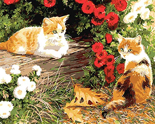 CaptainCrafts Neu DIY Ölgemälde Malen nach Zahlen für Erwachsene 40 x 50 cm tierische Serie (Blumen Kätzchen, Zwei Katzen, Mit Rahmen) von CaptainCrafts
