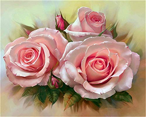 CaptainCrafts Neu Malen nach Zahlen Kits DIY Ölgemälde Malen nach Zahlen für Erwachsene Anfänger Acryl Leinwand Home Mauer Kunst Handwerk 16x20 Zoll Rosa rosen blume (Ohne Rahmen) von CaptainCrafts