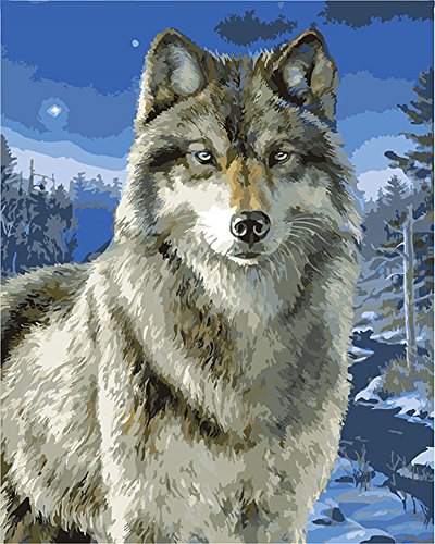 CaptainCrafts Malen nach Zahlen Erwachsene, Malen nach Zahlen Anfänger DIY Ölmalerei Kit 16x20 Zoll Zuhause Wanddekoration (Mit Rahmen, Schnee wolf) von CaptainCrafts