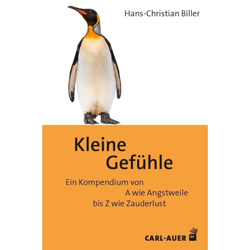 Kleine Gefühle - Hans-Christian Biller, Gebunden von Carl-Auer