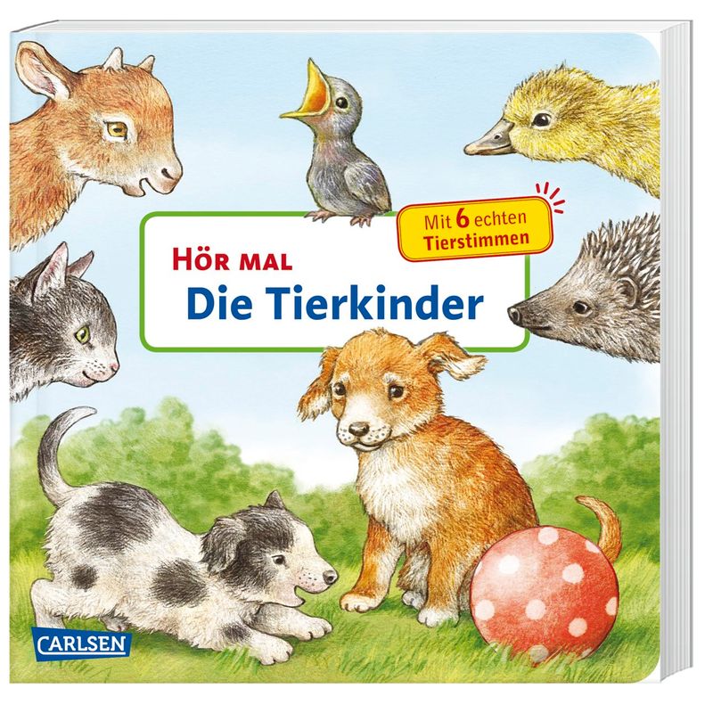 Die Tierkinder / Hör Mal Bd.11 - Anne Möller, Pappband von Carlsen