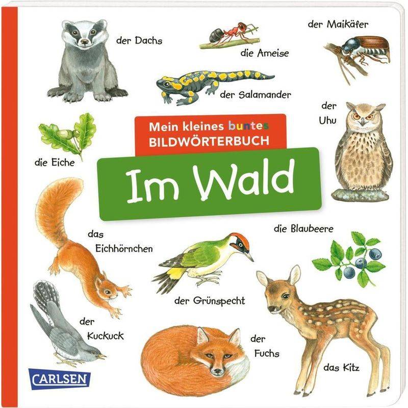 Mein Kleines Buntes Bildwörterbuch: Im Wald, Pappband von Carlsen