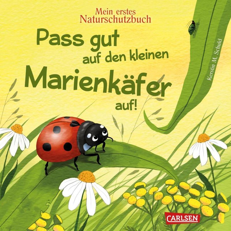 Pass Gut Auf Den Kleinen Marienkäfer Auf - Kerstin M. Schuld, Pappband von Carlsen