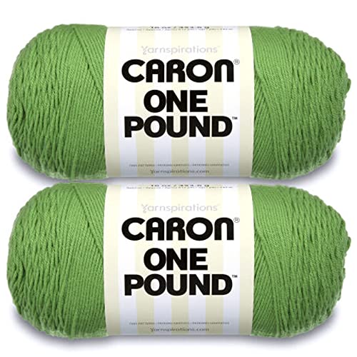 Caron Grasgrünes Garn – 2 Packungen mit 454 g – Acryl – 4 Medium (Kammgarn) – 800 Meter – Stricken/Häkeln von Caron