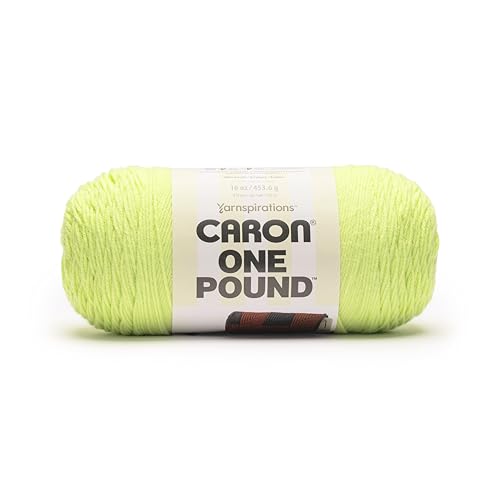 Caron One Pound Lime Mist Garn, 2 Packungen mit 453,6 g, 100% Acryl, Nr. 4 Kammgarn (mittel), 800 m – Stricken/Häkeln von Caron