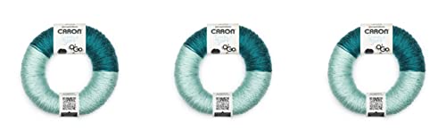 Caron Simply Soft O'GO Garn, Pagoda/Glacier 3 Caron Simply Soft O'GO Garn, Pagoda/Glacier 3 von Caron