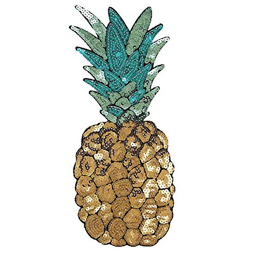 Carry stone Ananas gesticktes Eisen auf Patch Pailletten DIY Kleidung Applique Aufkleber Badge praktisch und nützlich von Carry stone