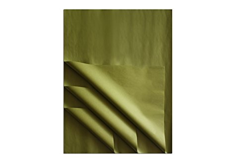 Karten dozio – Seidenpapier Grün Salbei – 50 Blätter a conf. – F. TO cm 76 x 100 – 21 gr/qm von Carte Dozio