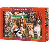 Dog Club - Puzzle - 3000 Teile von Castorland