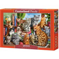 House of Cats - Puzzle - 2000 Teile von Castorland