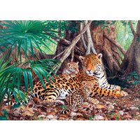 Jaguars in the jungle - Puzzle - 3000 Teile von Castorland