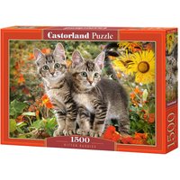 Kitten Buddies - Puzzle - 1500 Teile von Castorland
