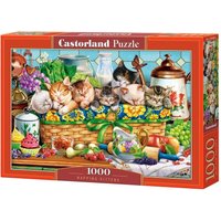 Napping Kittens - Puzzle - 1000 Teile von Castorland