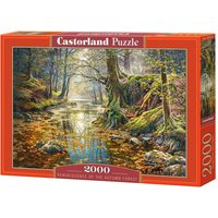 Reminiscence of the Autumn Forest - Puzzle - 2000 Teile von Castorland