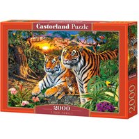 Tiger Family - Puzzle - 2000 Teile von Castorland