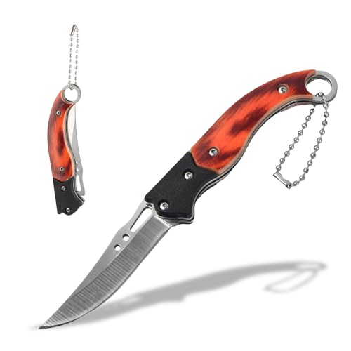 Robustes Taschenmesser, Einhandmesser Klein, Klappmesser Mini Messer, Edelstahl-Klappmesser mit Schlüsselanhänger, Tragbares Messer für Outdoor, Camping, Sammlung, Wandern, Jagd, Angeln Robustes Taschenmesser, Einhandmesser Klein, Klappmesser Mini Messer, Edelstahl-Klappmesser mit Schlüsselanhänger, Tragbares Messer für Outdoor, Camping, Sammlung, Wandern, Jagd, Angeln von Catime
