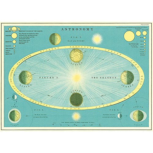 Cavallini Astronomie Geschenkpapier von Cavallini