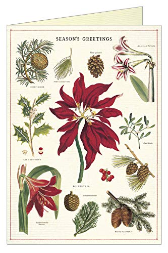 Cavallini Papers Christmas Botanica Boxed Notes, Multicolor von Cavallini Papers & Co.