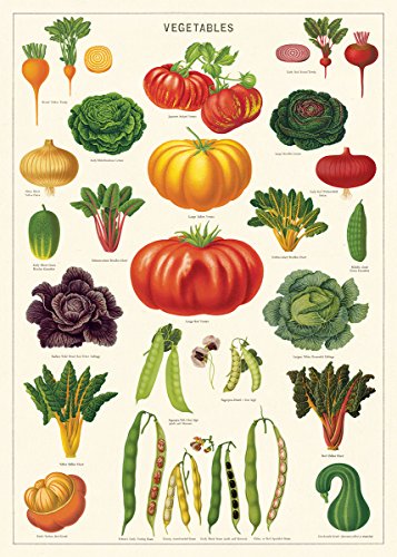 Cavallini Deko-Papier – Gemüsegarten 50,8 x 71,1 cm Bogen von Cavallini & Co.