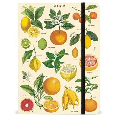 Cavallini Papers, Notebook, Notizbuch Citrus mit Gummiband Cavallini Papers, Notebook, Notizbuch Citrus mit Gummiband von Cavallini