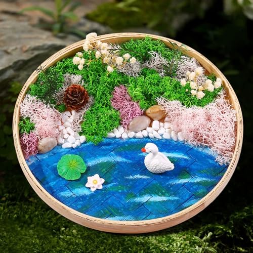 Cayway Zen Garten Zubehör, Moos Malerei DIY mit Runden Bambus Malerei Rahmen, Moos, Mini Garten Kit für Fotorahmen Dekoration, Home Desktop Decor, Flusslandschaft Cayway Zen Garten Zubehör, Moos Malerei DIY mit Runden Bambus Malerei Rahmen, Moos, Mini Garten Kit für Fotorahmen Dekoration, Home Desktop Decor, Flusslandschaft von Cayway