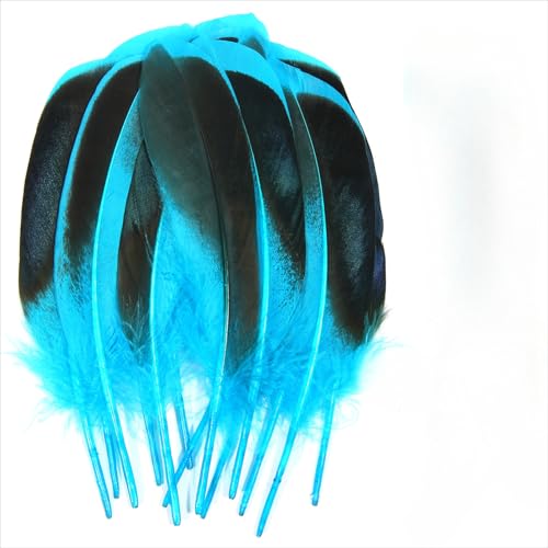 120 pieces colourful feathers, mixed feathers, feathers for crafts, feathers decoration, natural feathers, feathers for wedding party decoration (Blue) von Cazqgoy