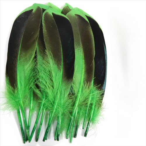 120 pieces colourful feathers, mixed feathers, feathers for crafts, feathers decoration, natural feathers, feathers for wedding party decoration (Green) von Cazqgoy