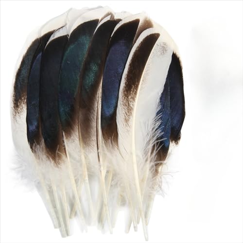 120 pieces colourful feathers, mixed feathers, feathers for crafts, feathers decoration, natural feathers, feathers for wedding party decoration (Natural color) von Cazqgoy