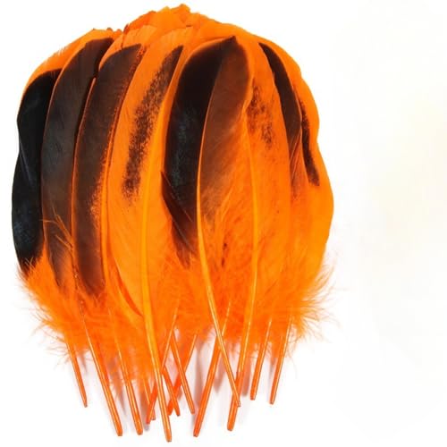 120 pieces colourful feathers, mixed feathers, feathers for crafts, feathers decoration, natural feathers, feathers for wedding party decoration (Orange) von Cazqgoy
