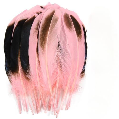 120 pieces colourful feathers, mixed feathers, feathers for crafts, feathers decoration, natural feathers, feathers for wedding party decoration (Pink) von Cazqgoy