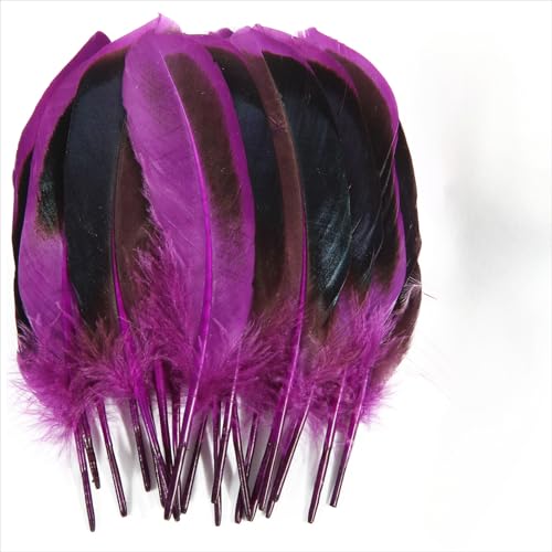 120 pieces colourful feathers, mixed feathers, feathers for crafts, feathers decoration, natural feathers, feathers for wedding party decoration (Purple) von Cazqgoy