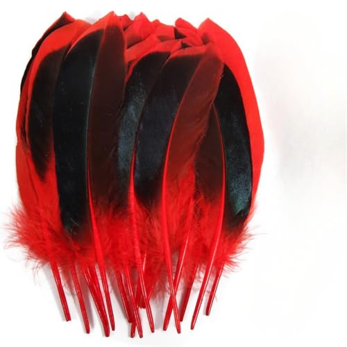 120 pieces colourful feathers, mixed feathers, feathers for crafts, feathers decoration, natural feathers, feathers for wedding party decoration (Red) von Cazqgoy