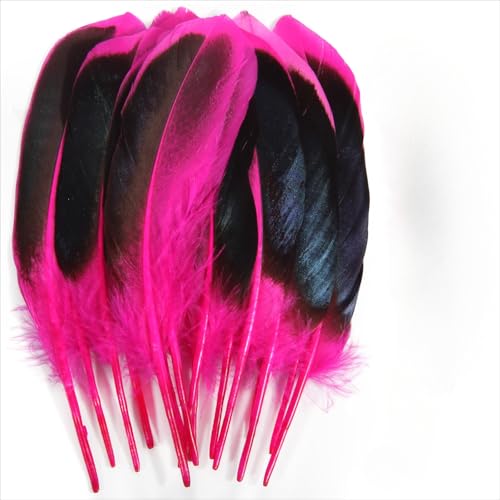 120 pieces colourful feathers, mixed feathers, feathers for crafts, feathers decoration, natural feathers, feathers for wedding party decoration (Rose Red) von Cazqgoy